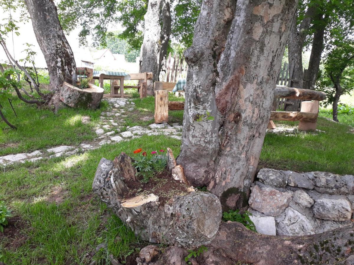 Apartments Javorje Zabljak Zewnętrze zdjęcie