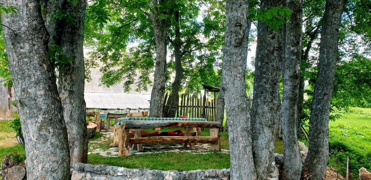 Apartments Javorje Zabljak Zewnętrze zdjęcie